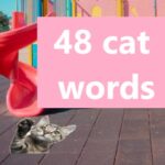 cat words